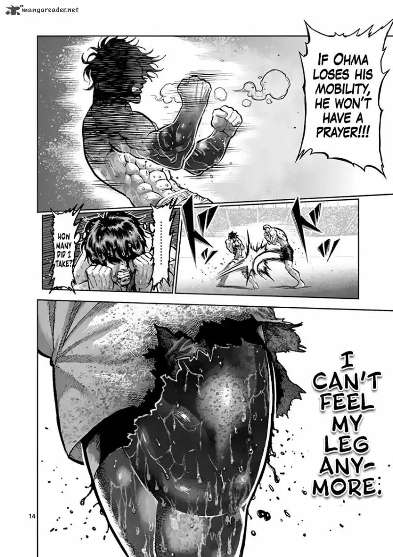 Chapter 219 - Page 14